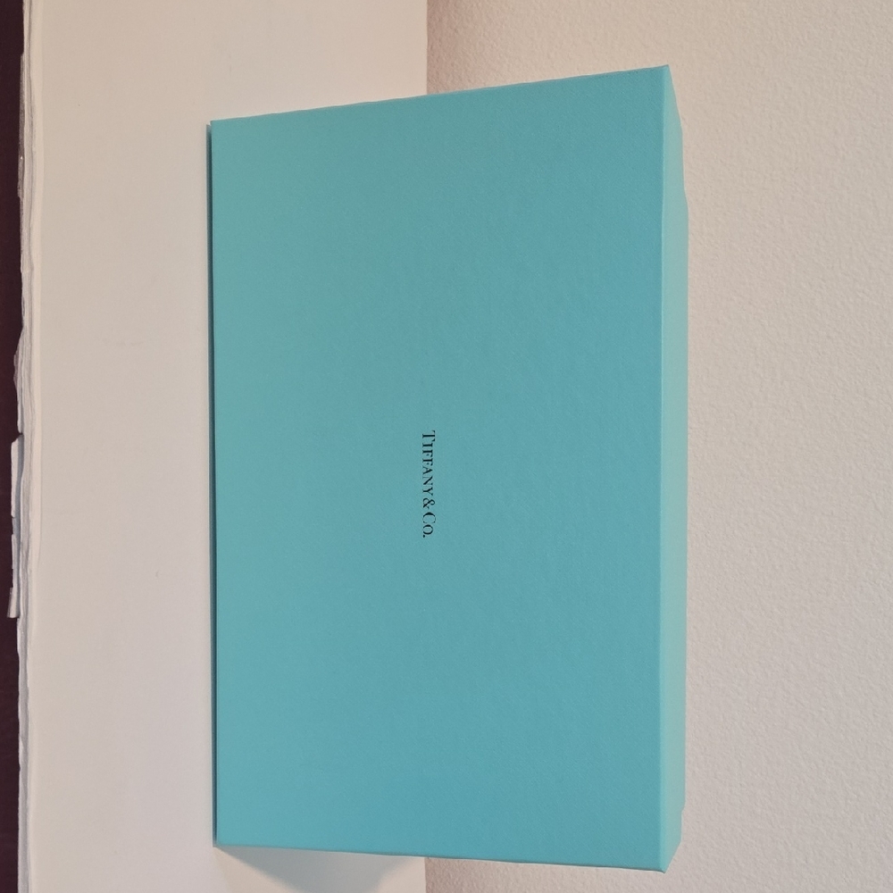 Tiffany & Co. Turquoise Gift Box